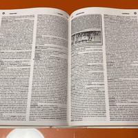 vocabolario di latino