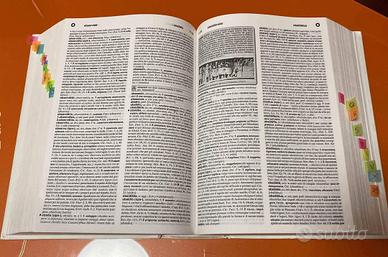 vocabolario di latino