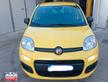 Fiat Panda PANDINA 1.0 FireFly S&S Hybrid Icon