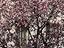 Immagine 22