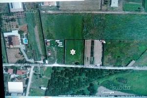 Lotto terreno mq 3150 tra acerra* pomigliano