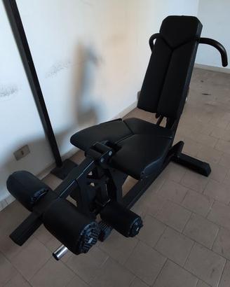 Leg extension/Lying leg curl