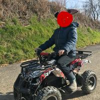 MINIQUAD ELETTRICOECO TORINO 800W