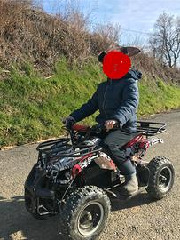 MINIQUAD ELETTRICOECO TORINO 800W