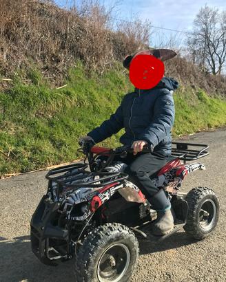 MINIQUAD ELETTRICOECO TORINO 800W