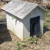 Cucce per cane in cemento