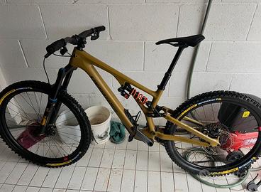 Specialized stumpjumper carbon