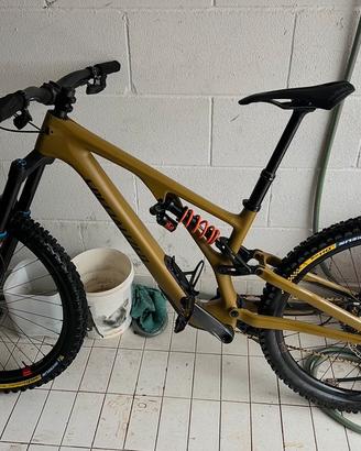 Specialized stumpjumper carbon