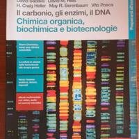 Il carbonio, gli enzimi, il DNA Chimica organica