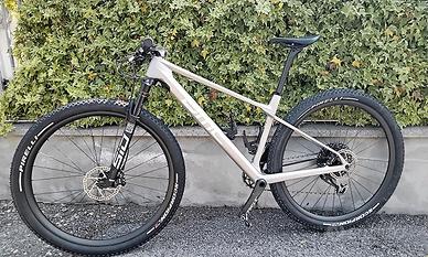MTB BMC twostroke