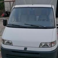 Ducato