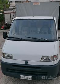 Ducato