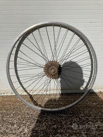 Ruota bdc 6 velocità