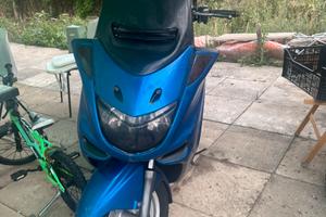 Majesty 250
