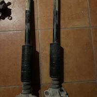 Ammortizzatori posteriori Fiat 500L