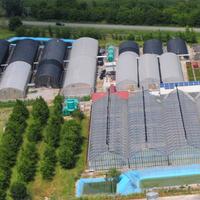 Serre per la coltivazione