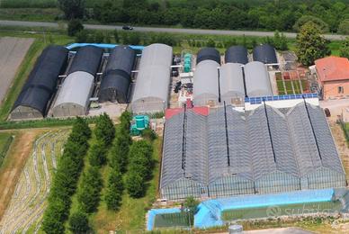 Serre per la coltivazione