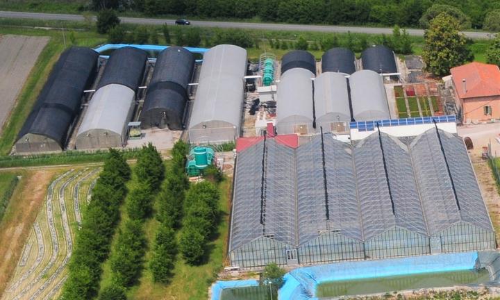 Serre per la coltivazione