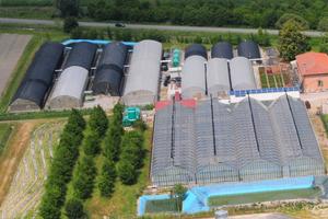 Serre per la coltivazione