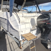 Saver cabina 620 con Mercury Pro