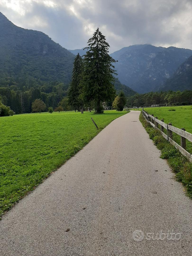 TERRENO AGRICOLO - Vista 4