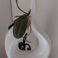 Vaso in ceramica  porta fiore