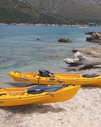 Kayak Ocean Kayak Prowler 13