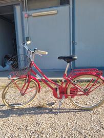 Alpina bike 24