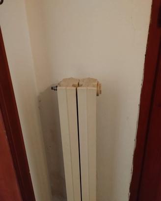 Termosifoni in ghisa 