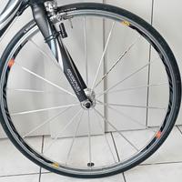 Giant Tcr Composite Corsa