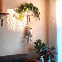 Decorazione handmade in Macramè - Pappagallo