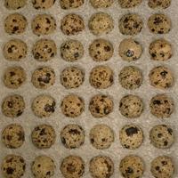 Materiale fertile quaglia jumbo