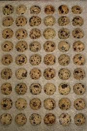 Materiale fertile quaglia jumbo