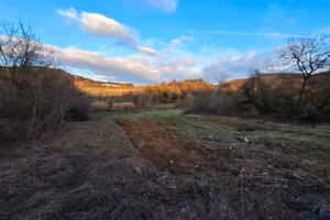 Terreno agricolo non edibile