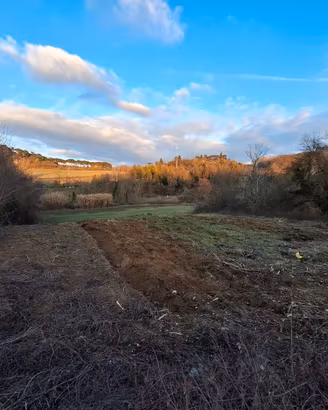 Terreno agricolo non edibile
