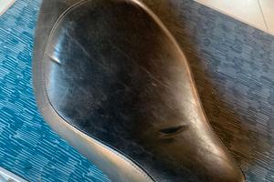 Sella singola originale harley custom 883