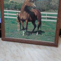 Quadro naturalista con cavalli
