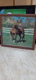Quadro naturalista con cavalli