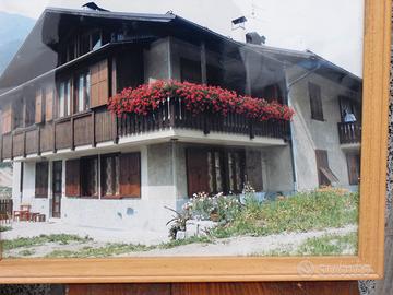 Monolocale in Val di Sole