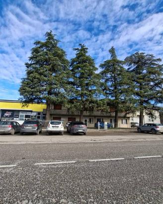 Immobile di 3030 m² a Forlì