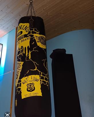 sacco domyos 25 kg