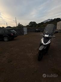Sh 300 sport 2019