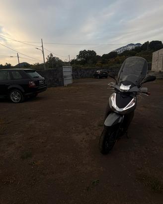 Sh 300 sport 2019