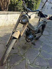 Ducati piuma brisk 50/1