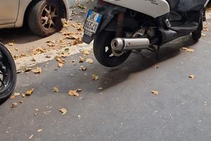 x max250