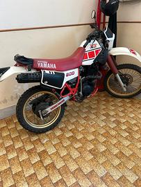 Xt 600 43f