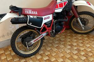 Xt 600 43f