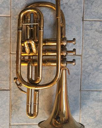 cornetta B&S