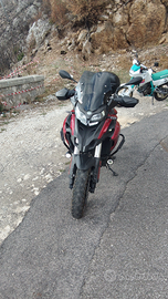 Moto Benelli trk 502 stradale