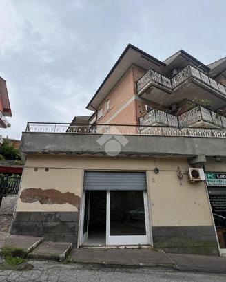 NEGOZIO A GENZANO DI ROMA